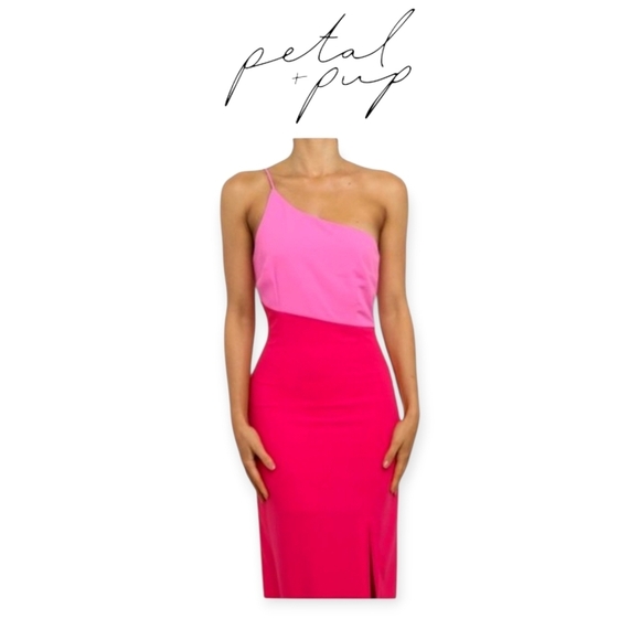 Petal & Pup Dresses & Skirts - Petal & Pup Xiomar One Shoulder Midi Dress Pink Red Size 0 Wedding Shower Event